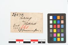 Etikett zu Eisenmesser (NHMW-PRAE-026270)